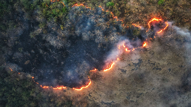wildfire