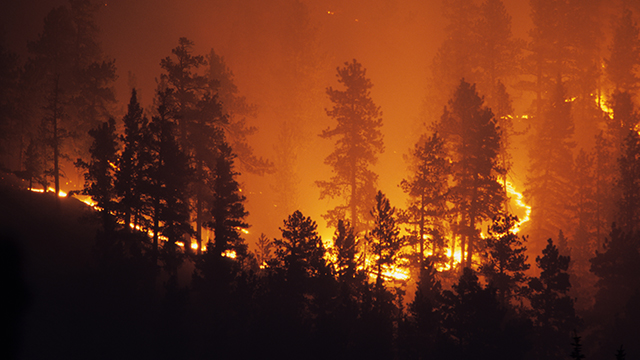 wildfires