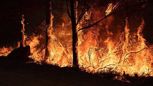 texas wildfires